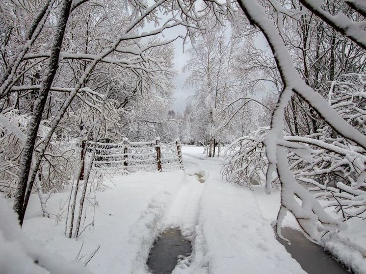В Подмосковье за эту неделю выпадет до 40% месячной нормы осадков