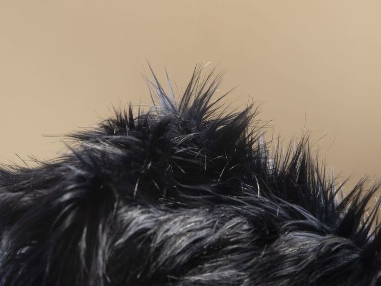 Baza: Туристка из Саудовской Аравии заявила о краже шиншилловой шубы в московском отеле