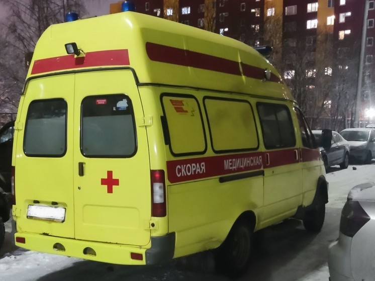 Два человека пострадали в аварии на трассе в Карелии