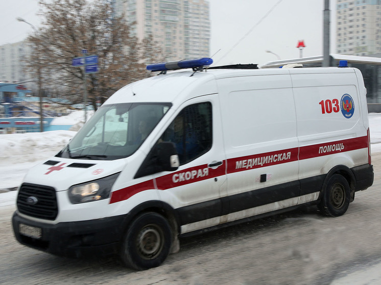 Мужчина получил ножевое ранение из-за драки питбультерьера и чихуахуа в Москве
