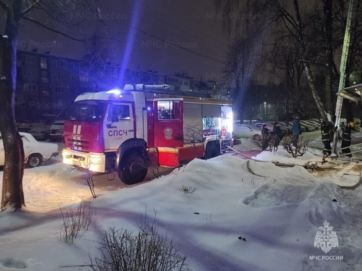 В Туле в пожаре на Калинина спасли троих жителей