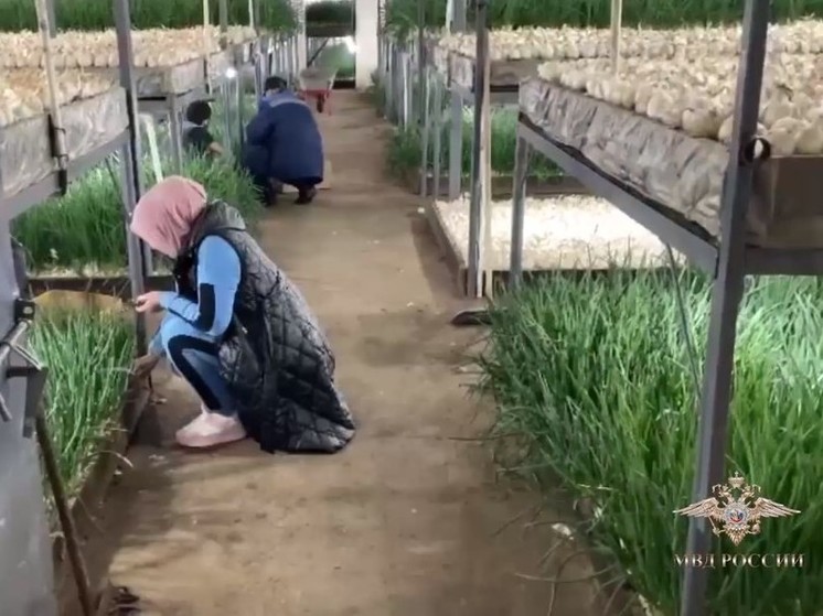 В подмосковной Кашире задержали более 20 мигрантов без документов