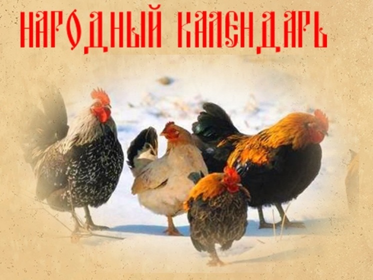 Приметы и поверья 15 января: только не черная, не соленая и вообще не курица