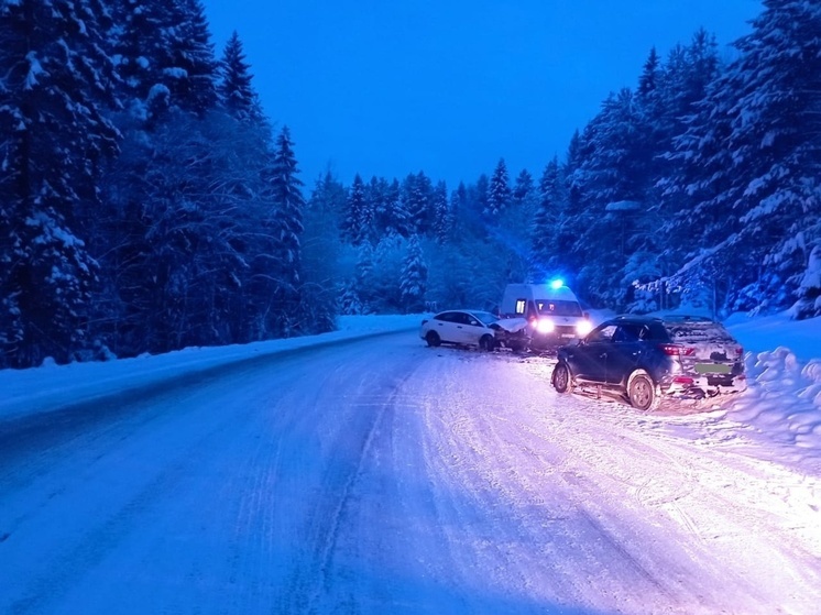 Стала известна судьба водителей, пострадавших в ДТП на трассе в Карелии