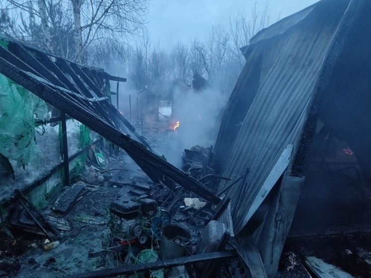 При пожаре в Захаровском районе Рязанской области погибли 34 курицы