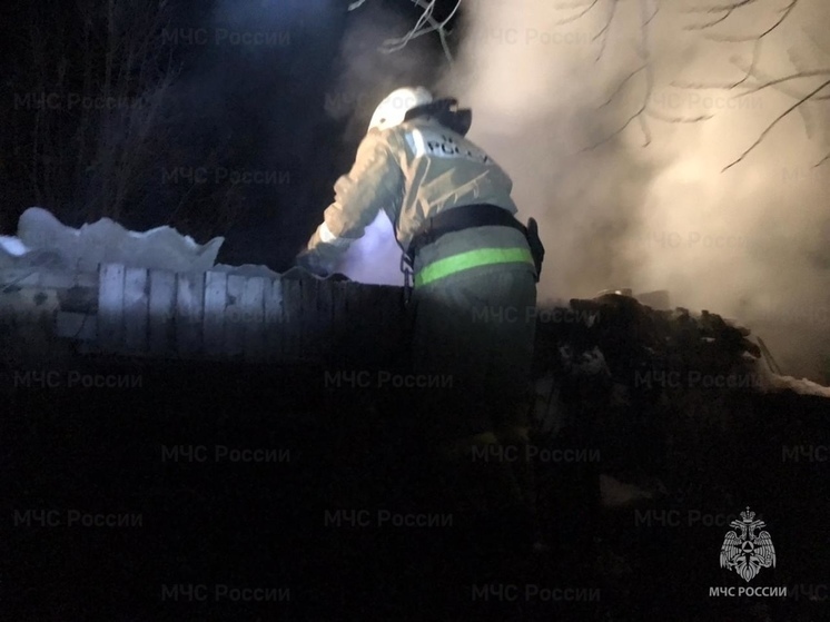 В Орловской области при пожаре погиб мужчина