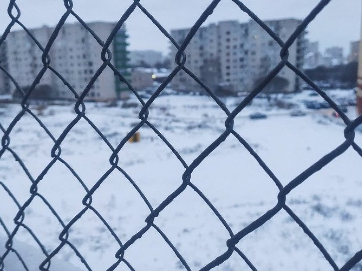 Два жителя Вологды лишились свободы на полгода за драку на овощной базе