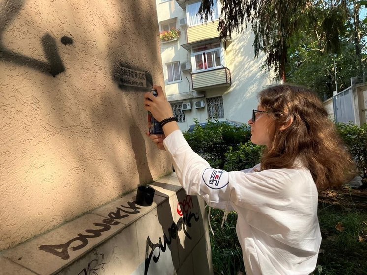 Сочинские активисты «Молодой Гвардии Единой России» за прошлый год ликвидировали более 4 тысяч наркотрафаретов
