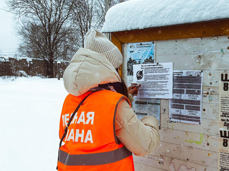 В Тверской области не обнаружено незаконных рубок хвойных деревьев