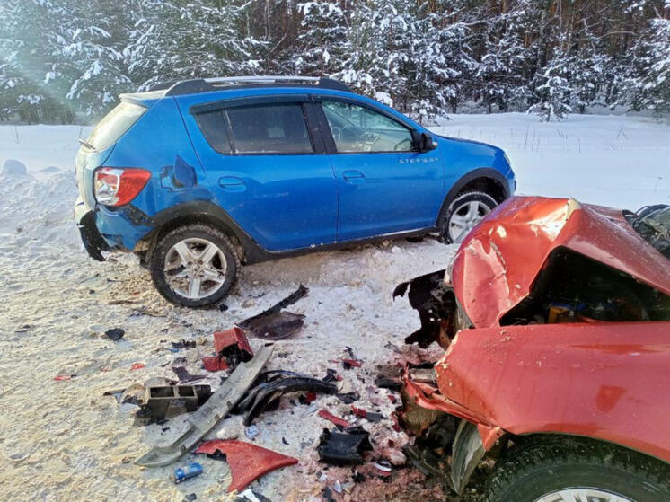 На прошлой неделе во Владимирской области произошло 521 ДТП