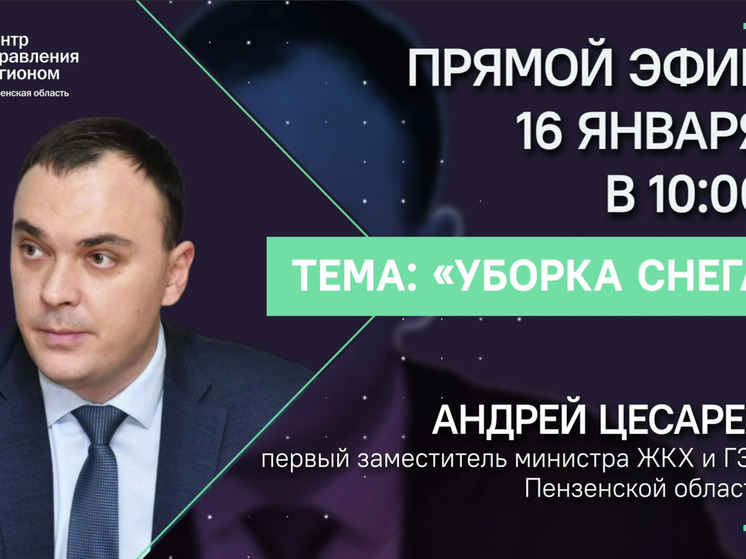 В Пензе пройдет прямой эфир, посвященный уборке снега