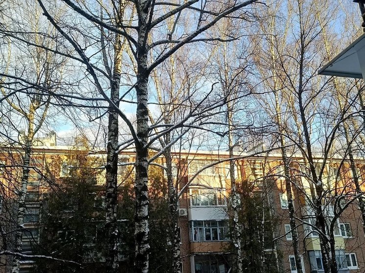 Метеорологи пообещали брянцам потепление до 0 градусов
