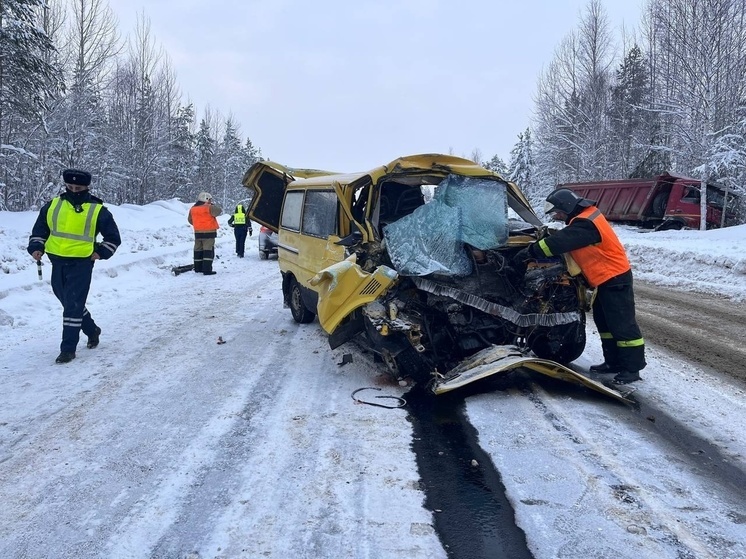 Водитель микроавтобуса пострадал в страшной аварии с грузовиком в Карелии