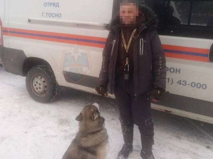 Ленинградские спасатели отправились на поиски мужчины, потерявшегося в лесу с собакой