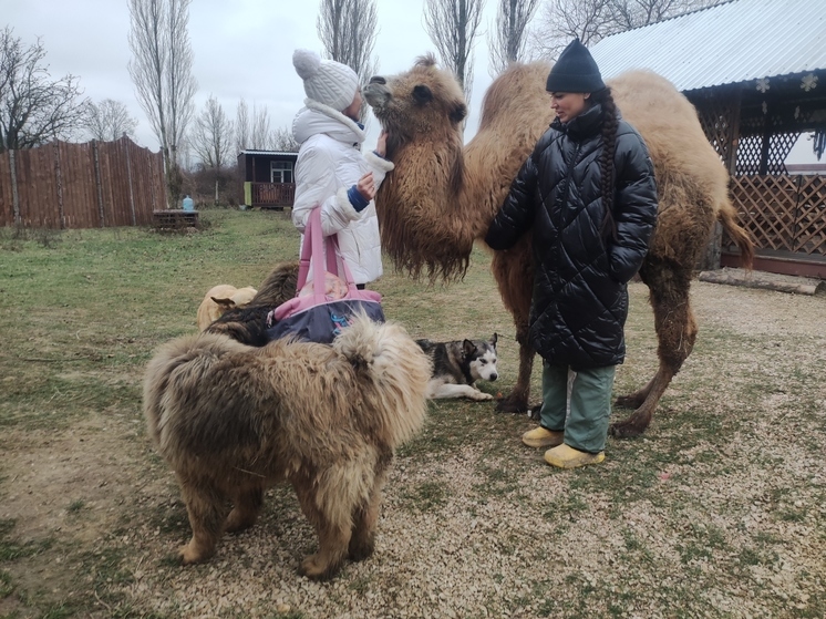 Ранчо в Севастополе дарит обреченным животным любовь и спасение