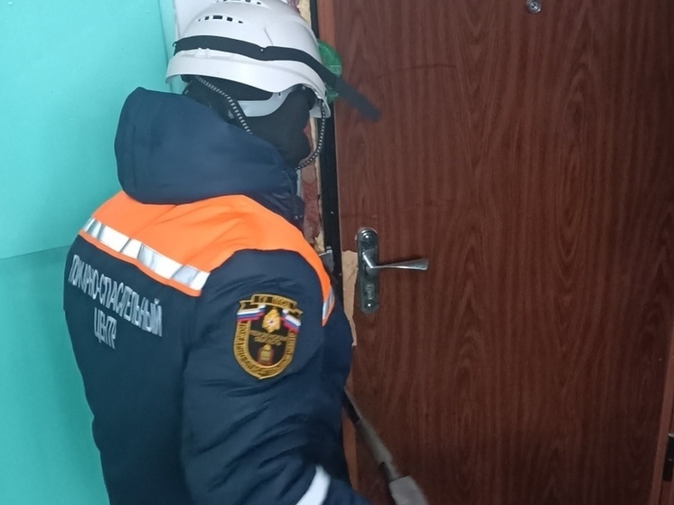 За выходные четверым пензенцам потребовалась помощь спасателей