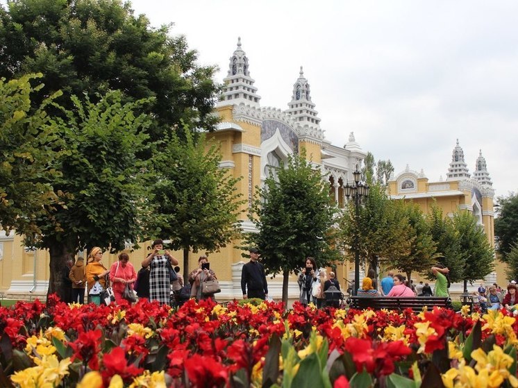 Новые программы обучения запустят в хореографической школе Кисловодска