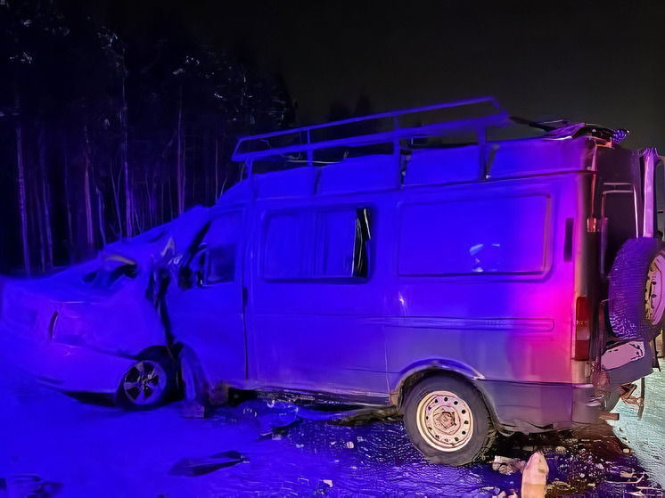 В ДТП на северодвинской трассе погибли два человека