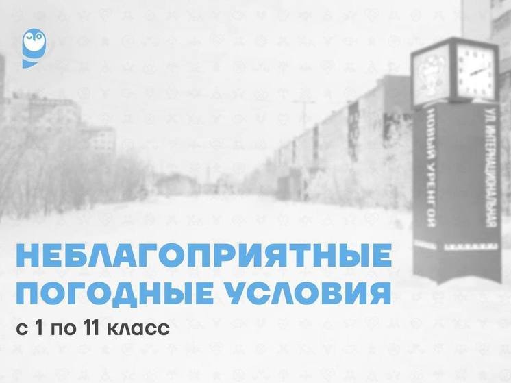 Всем школьникам Нового Уренгоя, Салехарда и Лабытнанги разрешили не идти на уроки из-за мороза