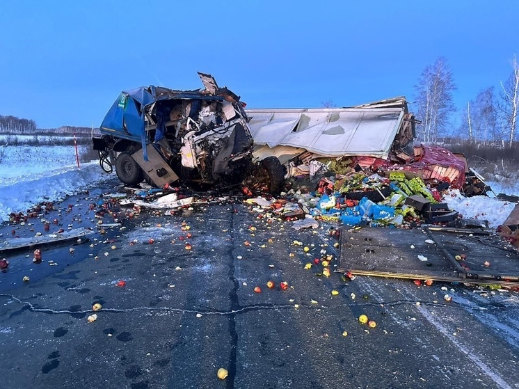 Трассу в Омской области перекрыли из-за смертельной аварии