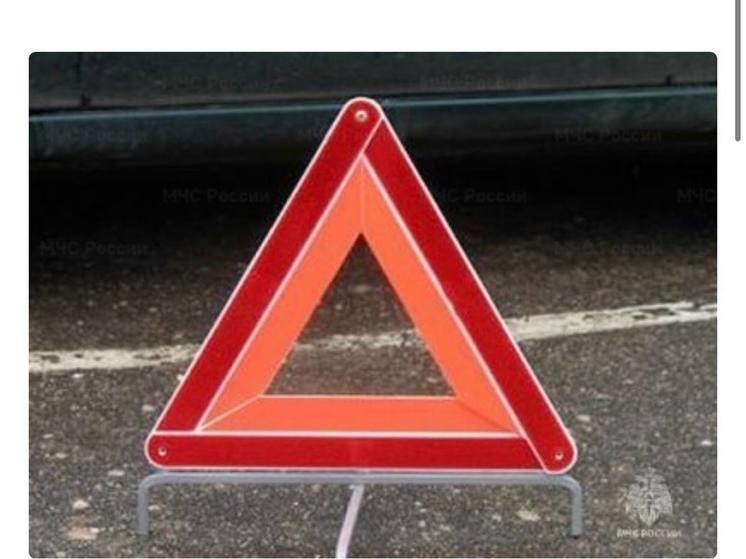 В Ершичском районе произошел съезд автомобиля в кювет