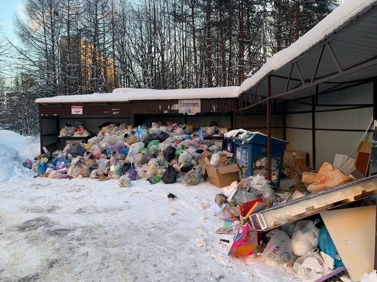 В ГУСТе пообещали наладить вывоз мусора в Подмосковье через месяц