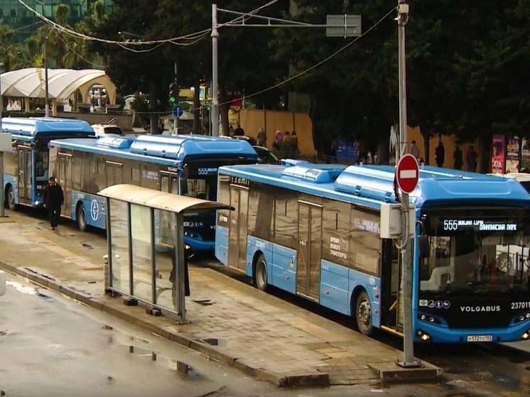 В Сочи с начала года появилось 25 новых автобусов