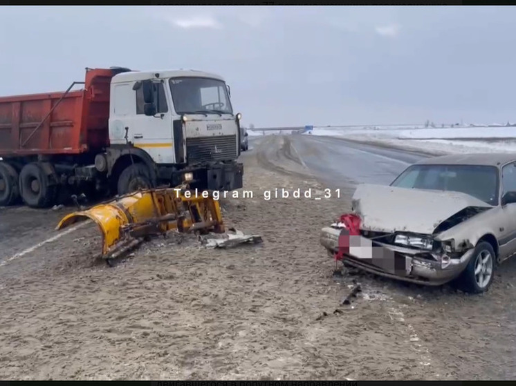 В Белгородской области снегоуборочный «МАЗ» врезался в легковушку