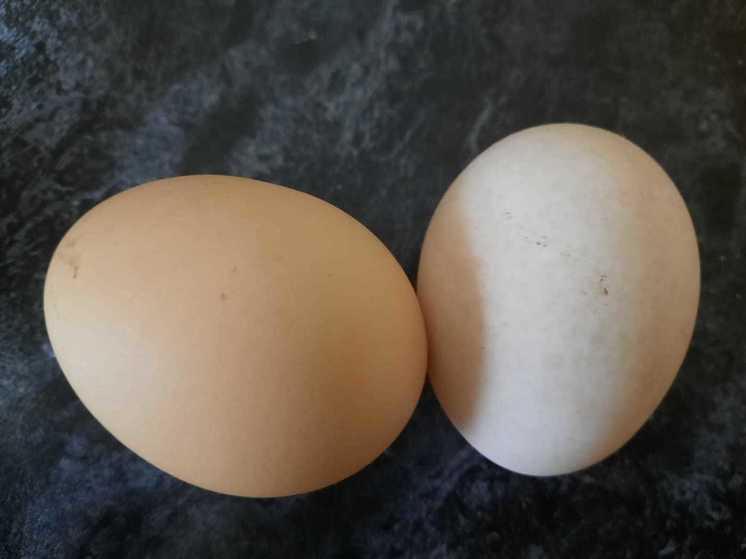 В Калужской области рост цен на яйца остановился