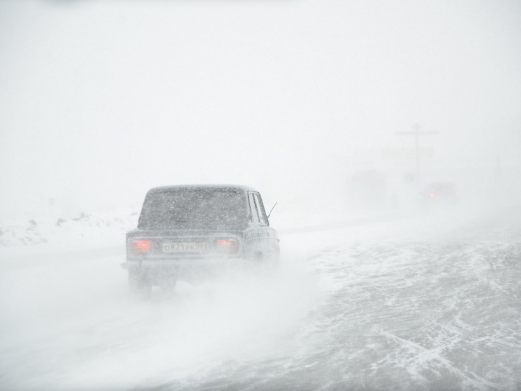 МЧС предупредило о сильном ветре в Свердловской области