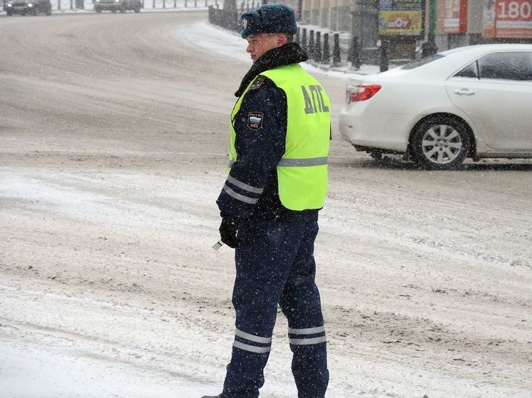 Чувашские ГИБДДшники спасли сбитого "Рено" пса и помогли ему вернуться домой