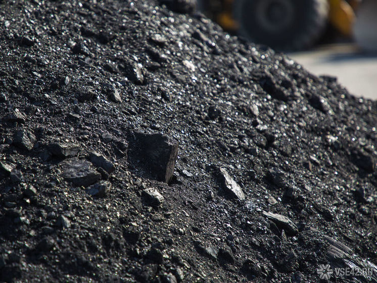 Кузбасские власти передали местному угольному разрезу 30 га сельхозземель