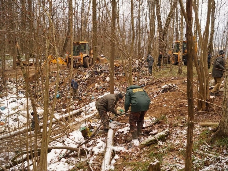 В лесах Подмосковья убрали более 1100 навалов мусора в 2023 году