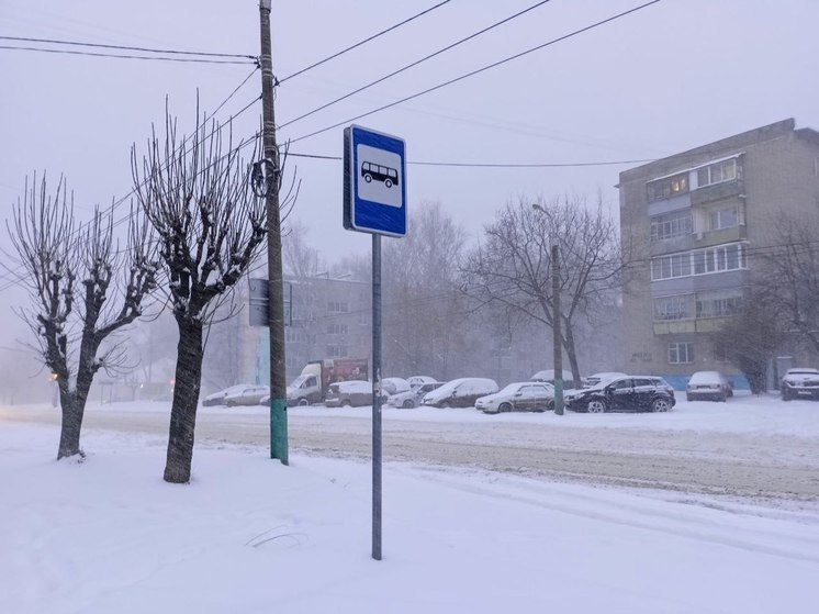 В Пензенской области продлили ограничение движения на участке трассы М5