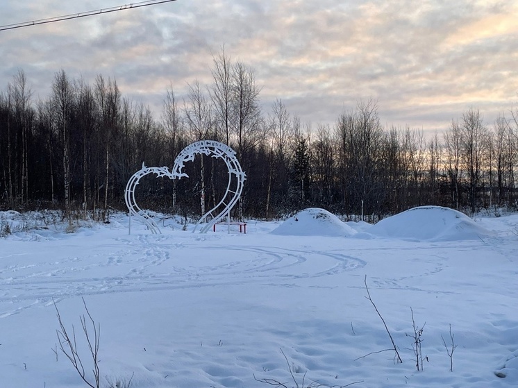 Спорными арт-объектами за 4 млн в поселке на севере Карелии займется полиция