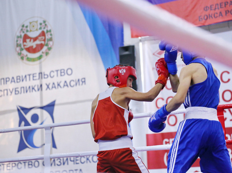 В Хакасии организуют чемпионат и первенство республики по боксу