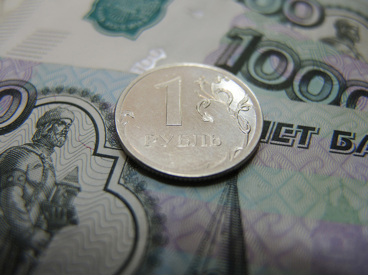 Профессор Зубец: «На социальные выплаты в нынешнем году потребуются около 10 триллионов рублей»