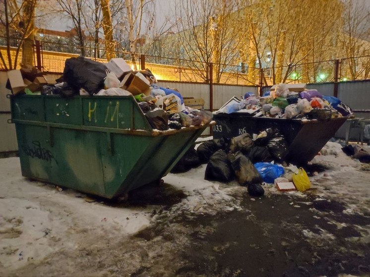 Вывоз мусора в Ленобласти в 2024 году подорожает на 10 процентов