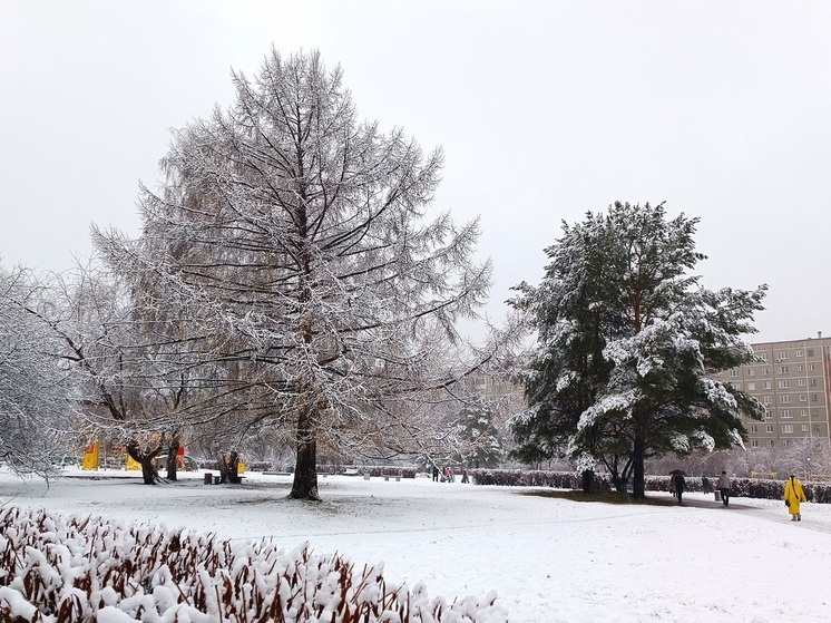 Утверждены нормативы в Екатеринбурге: каждому – по 12 квадратов парка