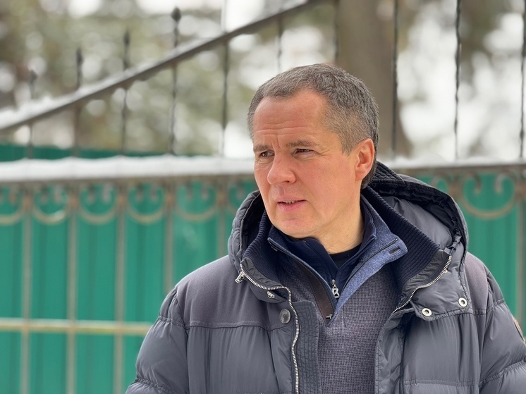 «Мы должны быстро и жестко реагировать»: Гладков – о нападении группы парней на жителей Белгорода