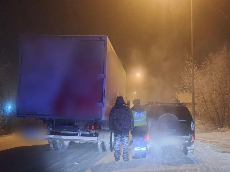 Инспекторы ДПС в Лабытнанги помогли водителю грузовика с замерзшим топливом
