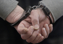 Ранее судимый житель Раменского городского округа задержан по подозрению в сексуальных действиях с детьми