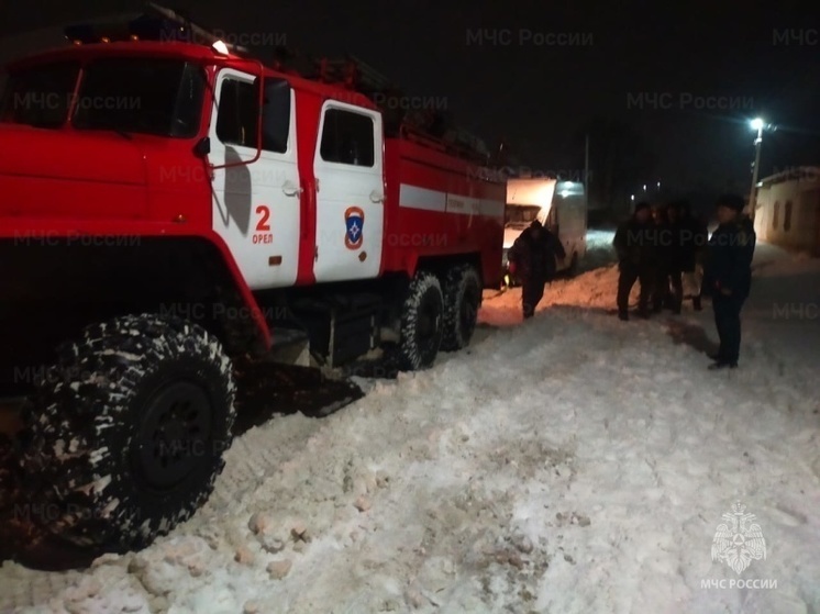 Орловские спасатели за сутки дважды помогли медикам