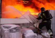 Сообщение о возгорании в складском помещении размером 350 на 320 метров пожарные получили в 7:42 в субботу, 13 января. К 9:30 пожару присвоили повышенный, пятый номер сложности. По предварительным оценкам, общая сумма уничтоженных огнем товаров достигла 12 млрд рублей.