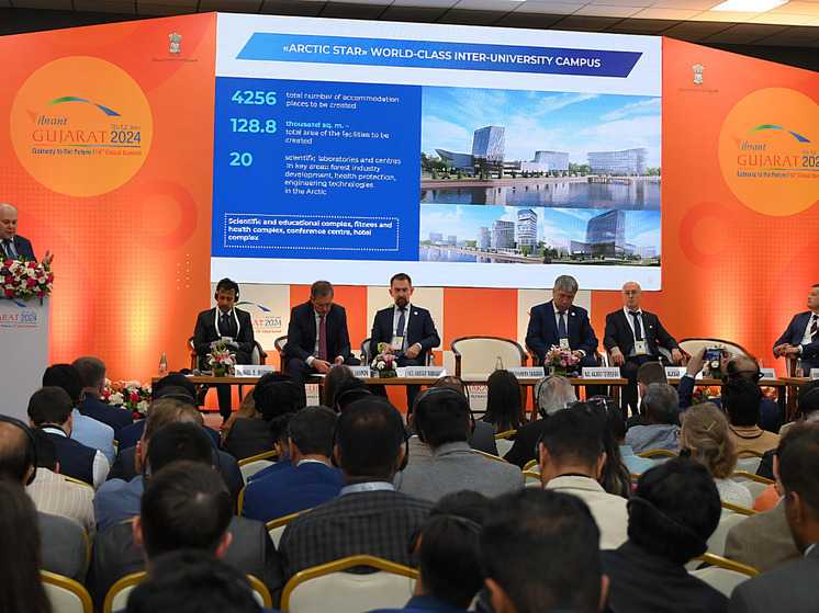 Инвестпотенциал Архангельской области представили на международном саммите в Индии