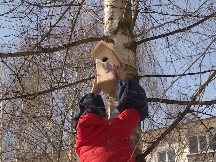Костромской музей-заповедник приглашает горожан принять участие в конкурсе «Зимуем вместе»