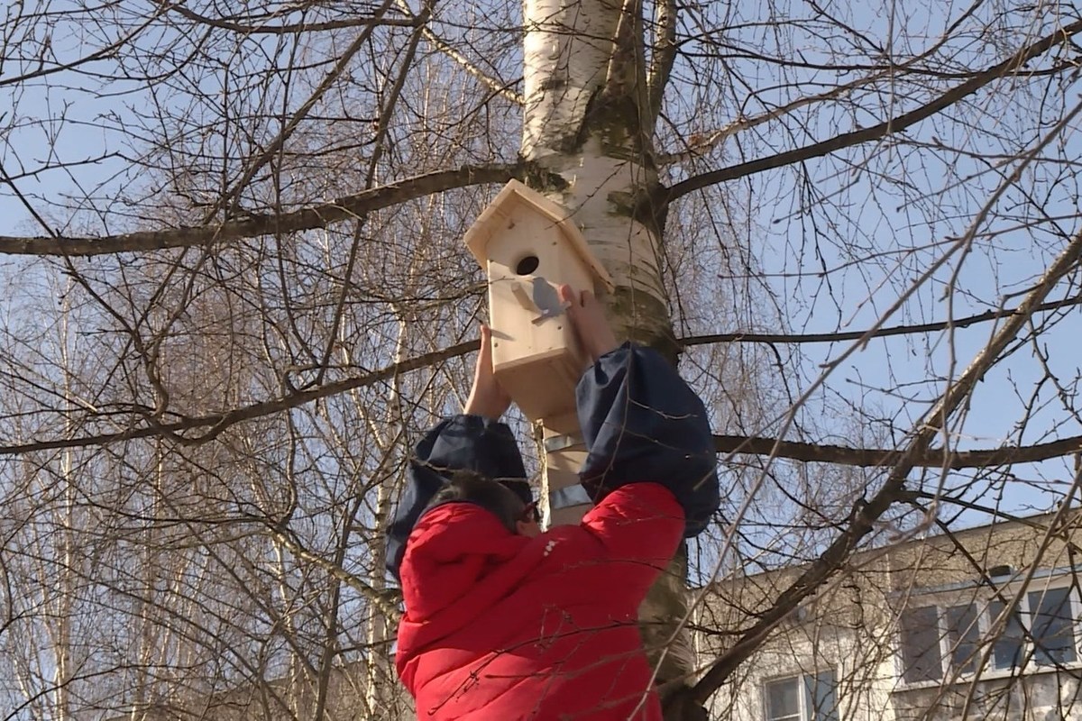 Костромской музей-заповедник приглашает горожан принять участие в конкурсе «Зимуем вместе»