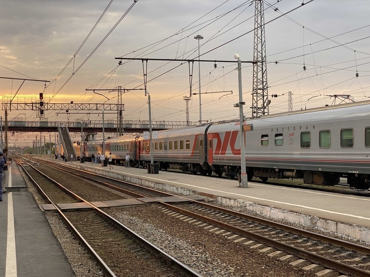 С пассажирского поезда в Рязани из-за драки сняли пятерых пассажиров