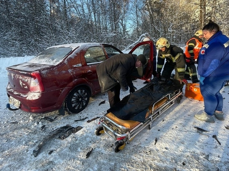 Женщина попала в больницу после страшной аварии с лесовозом в Карелии
