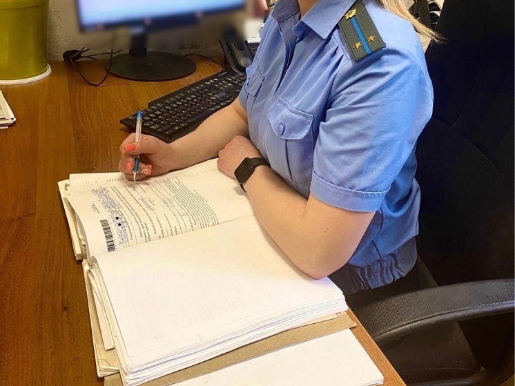 Разговор с приставом вынудил жителя Петрозаводска вновь начать платить алименты